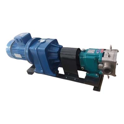 SS Rotary Lobe Pump Jacketing Model